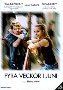 Four Weeks in June (DVD)